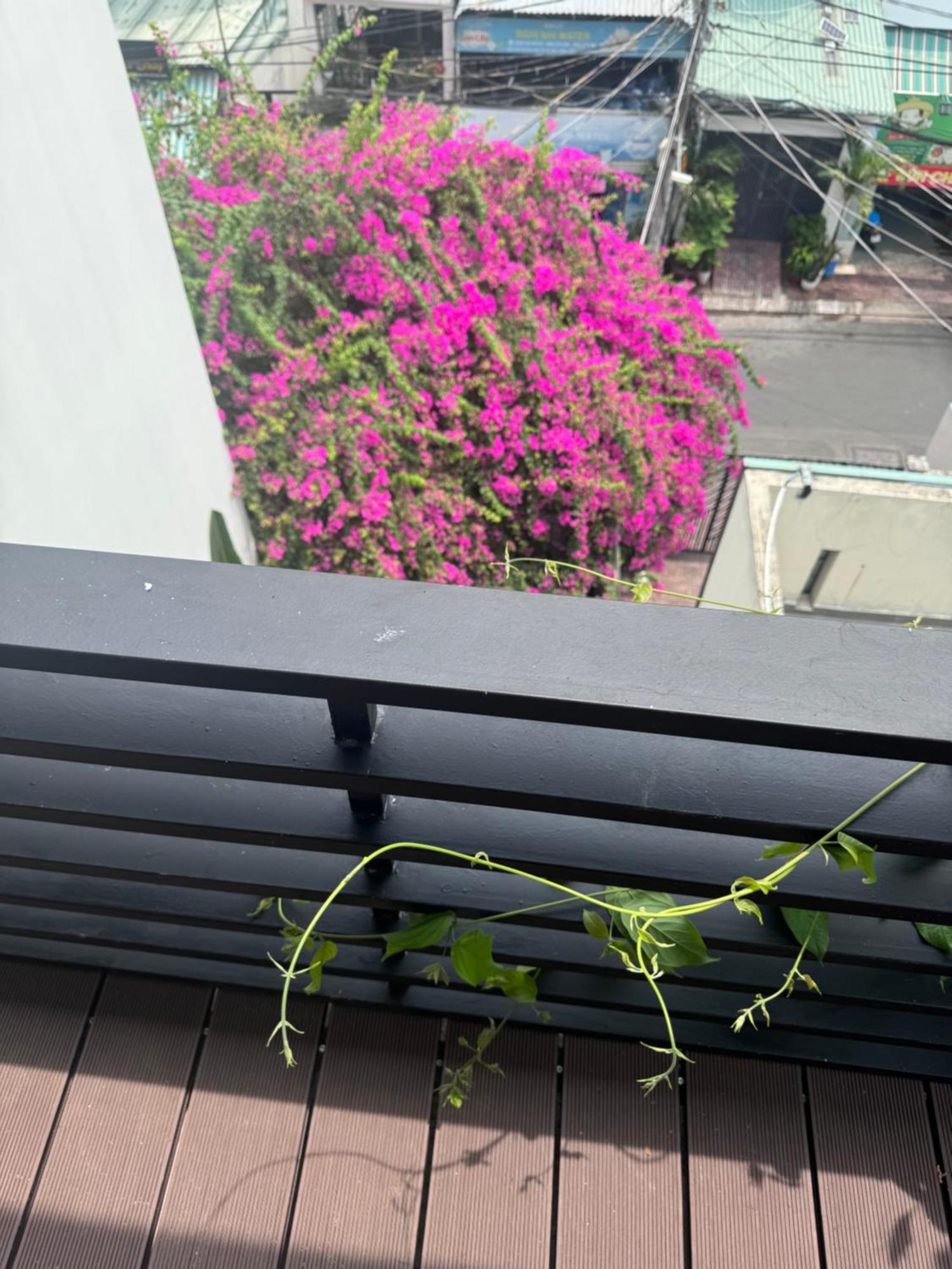 Notre Maison 5 - Roof Homestay *